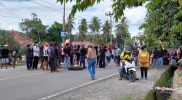 Aksi unjuk rasa dan pemblokiran Jl Trans Sulawesi, Kecamatan Tinombo Selatan, Kabupaten Parigi Moutong (Parimo), Sabtu (12/2/2022)/Ist