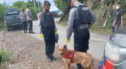 Polda Sulteng terjunkan personel dan anjing pelacak cari Dokter Faisal yang hilang di Tolitoli, Rabu (11/5/2022)/Ist