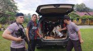 Kepolisian Sektor (Polsek) Kecamatan Lampasio, Kabupaten Tolitoli berhasil gagalkan pencurian hewan ternak kambing sebanyak empat ekor.