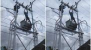 Pekerja PLN perbaiki kabel listrik di Desa Loli Tasiburi, Kecamatan Banawa Kabupaten Donggala/istimewa