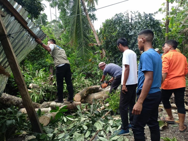Satu unit rumah di Jl Witabuana, Desa Sakita, Kecamatan Bungku Tengah, Kabupaten Morowali tertimpa pohon, Minggu (15/1/2023) malam/istimewa