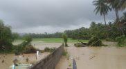 Hujan dengan intensitas tinggi mengakibatkan puluhan rumah dan sawah milik warga di Desa Tompe, Kecamatan Sirenja, Kabupaten Donggala terendam banjir/Ist