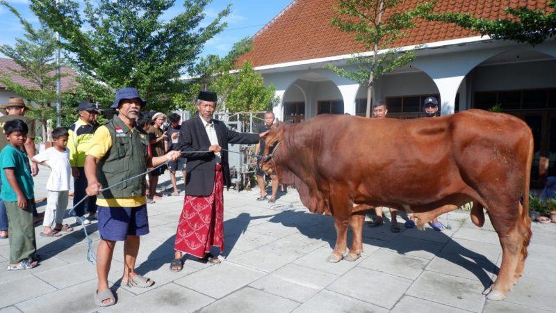 Lembaga Dakwah Islam Indonesia (LDII) Kota Palu melaksanakan penyembelihan hewan kurban di hari raya Iduladha 1445 H/Ist