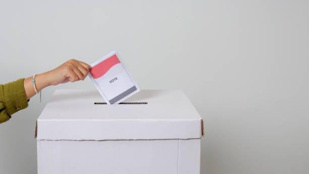 Ilustrasi Pilkada 2024/Ist