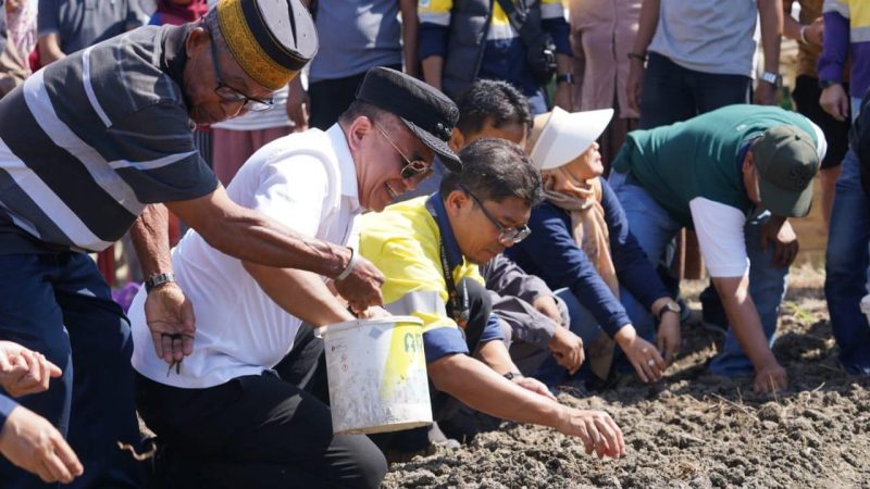 Wali Kota Palu, Hadianto Rasyid melaksanakan penanaman bibit bawang di lahan pertanian di Jalan Lagarutu, Kota Palu, Senin (12/05/2025)/Pemkot Palu