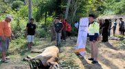 Penyembelihan hewan kurban pemberian BRMS dan CPM di Kelurahan Poboya, Jumat (6/6/2025). (Sumber: hariansulteng.com)