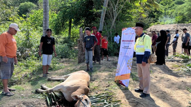Penyembelihan hewan kurban pemberian BRMS dan CPM di Kelurahan Poboya, Jumat (6/6/2025). (Sumber: hariansulteng.com)