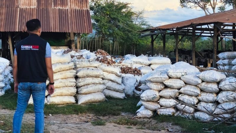 Komnas HAM Sulteng meninjau lokasi PETI di Poboya, Sabtu (7/6/2025). (Sumber: Ist)