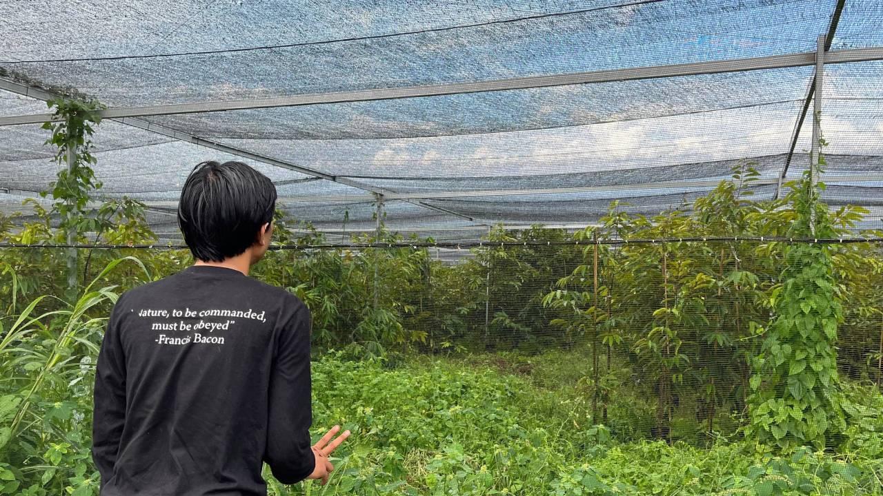 Durian jadi salah satu tanaman yang dibudidayakan PT BAM (Sumber: Fandy/hariansulteng.com)