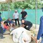 Polda Sulteng menyembelih ratusan hewan kurban saat perayaan Iduladha 1447 Hijriah, Rabu (27/5/2026). (Foto: Istimewa)