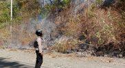 Kebakaran lahan dan hutan melanda Desa Tampanombo, Kecamatan Ulubongka, Kabupaten Tojo Una-Una (Touna), terbakar, Kamis (30/7/2026). (Foto: Istimewa)