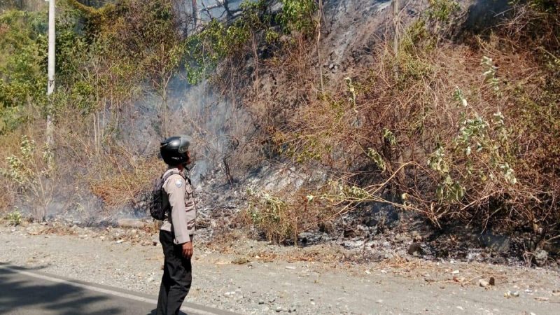 Kebakaran lahan dan hutan melanda Desa Tampanombo, Kecamatan Ulubongka, Kabupaten Tojo Una-Una (Touna), terbakar, Kamis (30/7/2026). (Foto: Istimewa)