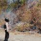 Kebakaran lahan dan hutan melanda Desa Tampanombo, Kecamatan Ulubongka, Kabupaten Tojo Una-Una (Touna), terbakar, Kamis (30/7/2026). (Foto: Istimewa)