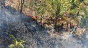 Kebakaran hutan dan lahan di Desa Huhak, Kecamatan Pagimana, Kabupaten Banggai, Minggu (2/8/2026). (Foto: Istimewa)