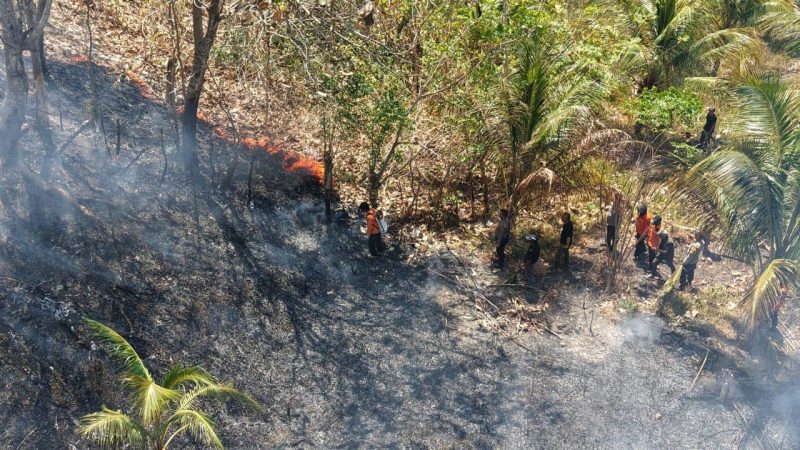 Kebakaran hutan dan lahan di Desa Huhak, Kecamatan Pagimana, Kabupaten Banggai, Minggu (2/8/2026). (Foto: Istimewa)
