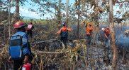 Kebakaran hutan dan lahan di Desa Bakalan dan Desa Bulungkobit, Kecamatan Tinangkung, Kabupaten Banggai Kepulauan, Minggu (9/8/2026). (Foto: Istimewa)