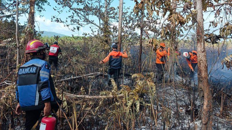 Kebakaran hutan dan lahan di Desa Bakalan dan Desa Bulungkobit, Kecamatan Tinangkung, Kabupaten Banggai Kepulauan, Minggu (9/8/2026). (Foto: Istimewa)