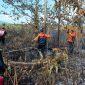 Kebakaran hutan dan lahan di Desa Bakalan dan Desa Bulungkobit, Kecamatan Tinangkung, Kabupaten Banggai Kepulauan, Minggu (9/8/2026). (Foto: Istimewa)
