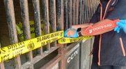 Polisi melakukan olah TKP di rumah korban pembunuhan satu keluarga di Kelurahan Duyu, Kota Palu. (Foto: Istimewa)