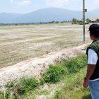Kemarau panjang yang terjadi memukul sektor pertanian di tiga kecamatan di Kabupaten Parigi Moutong (Parimo). (Foto: Istimewa)