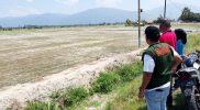 Kemarau panjang yang terjadi memukul sektor pertanian di tiga kecamatan di Kabupaten Parigi Moutong (Parimo). (Foto: Istimewa)