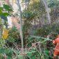 Petugas sedang memadamkan api di Kabupaten Tojo Una-Una (Touna). (Foto: Istimewa)
