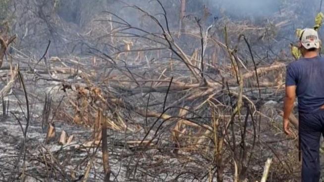 Kebakaran hutan dan lahan (karhutla) melanda Desa Siboang, Kecamatan Sojol, Kabupaten Donggala, Kamis (17/9/2026). (Foto: Istimewa)