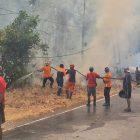 Karhutla melanda melanda Desa Tampemadoro, Kecamatan Lage, Kabupaten Poso, Minggu (20/9/2026). (Foto: Istimewa)