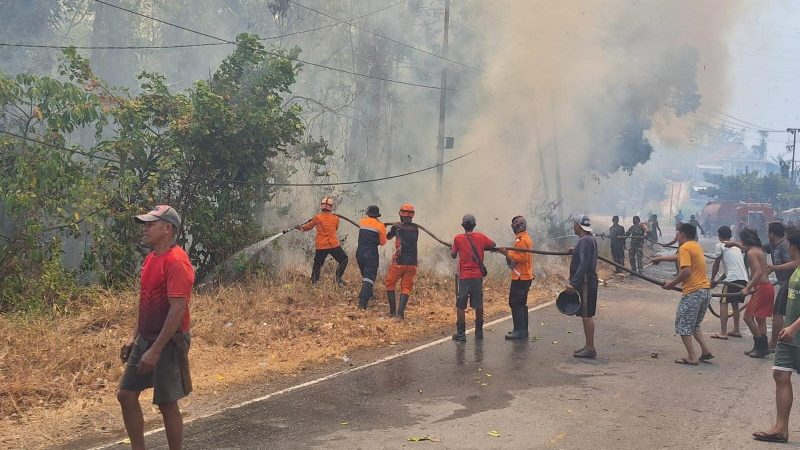 Karhutla melanda melanda Desa Tampemadoro, Kecamatan Lage, Kabupaten Poso, Minggu (20/9/2026). (Foto: Istimewa)