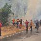 Karhutla melanda melanda Desa Tampemadoro, Kecamatan Lage, Kabupaten Poso, Minggu (20/9/2026). (Foto: Istimewa)