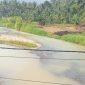 Jatam Sulteng menyoroti aktivitas tambang ilegal yang mencemari sungai di Desa Labonu dan sekitarnya. (Foto: Istimewa)