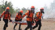 Basarnas Palu mengikuti latihan simulasi kesiapsiagaan penanggulangan karhutla di Sigi, Jumat (23/10/2026). (Foto: Istimewa)