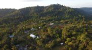 Kawasan hutan Tompotika. (Foto: Istimewa)
