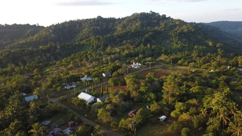 Kawasan hutan Tompotika. (Foto: Istimewa)
