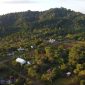 Kawasan hutan Tompotika. (Foto: Istimewa)