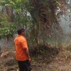 Kebakaran hutan dan lahan (karhutla) terjadi di Kelurahan Bailo, Kecamatan Ampana, Touna, Senin (26/10/2026). (Foto: Istimewa)